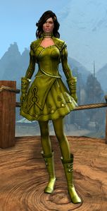 Appearance on light armor.