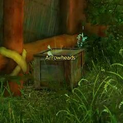 Arrowheads.jpg