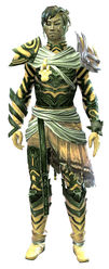 Carapace armor (light) sylvari male front.jpg
