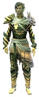 Carapace armor (light) sylvari male front.jpg