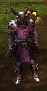Champion of the Heavy Hammer.jpg