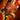 Crimson Lion Weapon Box