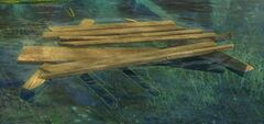 Floating Debris.jpg