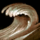 Gift of Water.png