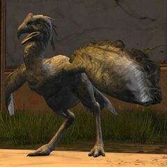Golden Moa (Exhibit).jpg