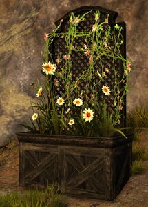 Lattice Planter with Daisies.jpg