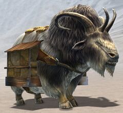 Pack Dolyak.jpg