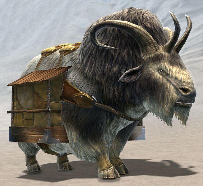 File:Pack Dolyak.jpg