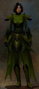 Appearance on heavy armor.
