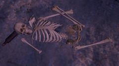Remains of First Mate Shane.jpg