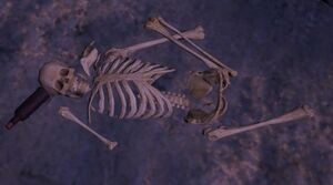Remains of First Mate Shane.jpg