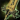 Shifting Sands Weapon Box
