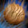 Toy-Shell Infusion.png