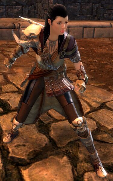 File:Veteran Ascalonian Monk (human).jpg