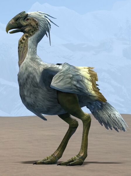 File:White Moa.jpg