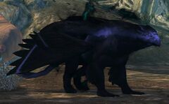 Winged Shadow.jpg