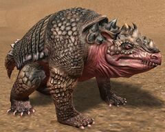 Armadillo.jpg