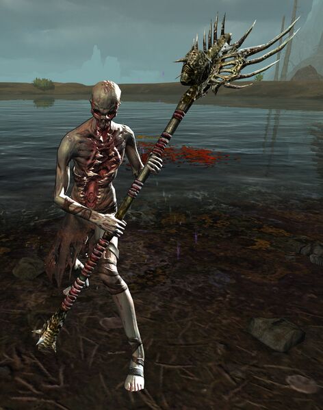 File:Bog Body (staff).jpg