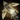 Celestial Rooster Glider.png