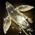 Celestial Rooster Glider.png