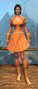 Appearance on light armor.