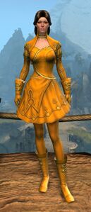 Appearance on light armor.
