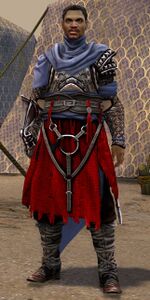 Deputy Ayoub.jpg