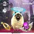 Thumbnail for version as of 02:12, 18 November 2021