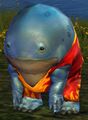 Kookoochoo the Incredulous