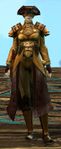 Lionguard norn medium 1.jpg