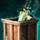 Lost Weapon Shipment.png