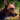 Mini Brindle Basenji.png