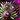 Mordrem Troll Eye.png