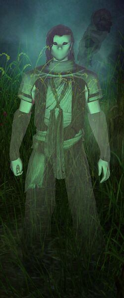 File:Purist Necromancer Spirit.jpg