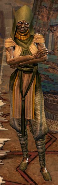 File:Awakened Servant 2.jpg
