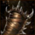 Bandit Ward.png