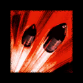 Thumbnail for version as of 21:57, 8 August 2017