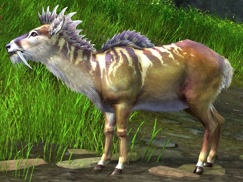 File:Fanged Deer.jpg