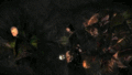 Thumbnail for version as of 17:02, 25 August 2010
