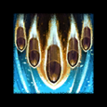Thumbnail for version as of 04:28, 28 February 2024