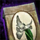 Krytan Spiderwort Seed Pouch.png