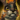 Mini Primal Springer Kit.png