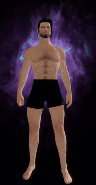 File:One legendary trinket stowed animation.gif