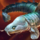 Silver Bichir.png