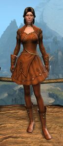 Appearance on light armor.