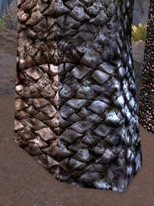 Unpostered Tree Trunk.jpg