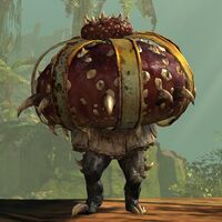Veteran Mushroom King.jpg