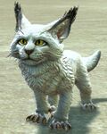 Warclaw Cub (white).jpg
