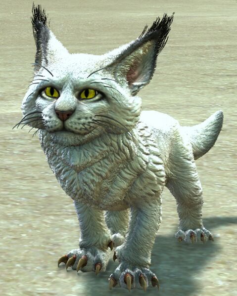 File:Warclaw Cub (white).jpg