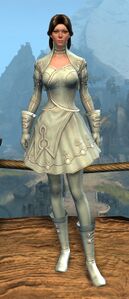 Appearance on light armor.